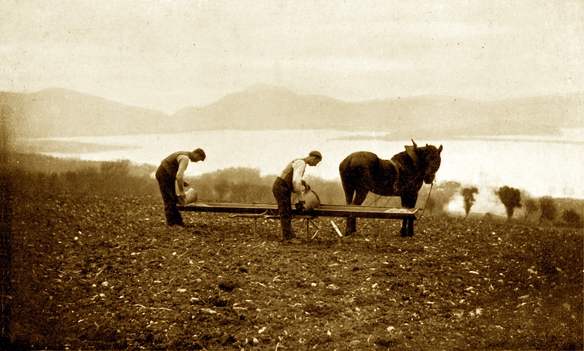 Sowing Seeds Above Balloch